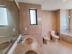 Twin Heights (D12), Apartment #473162481